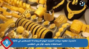 «تحديث مهم» درجات الحرارة اليوم الأربعاء 13 أغسطس في كافة المحافظات وكيف تؤثر على الطقس